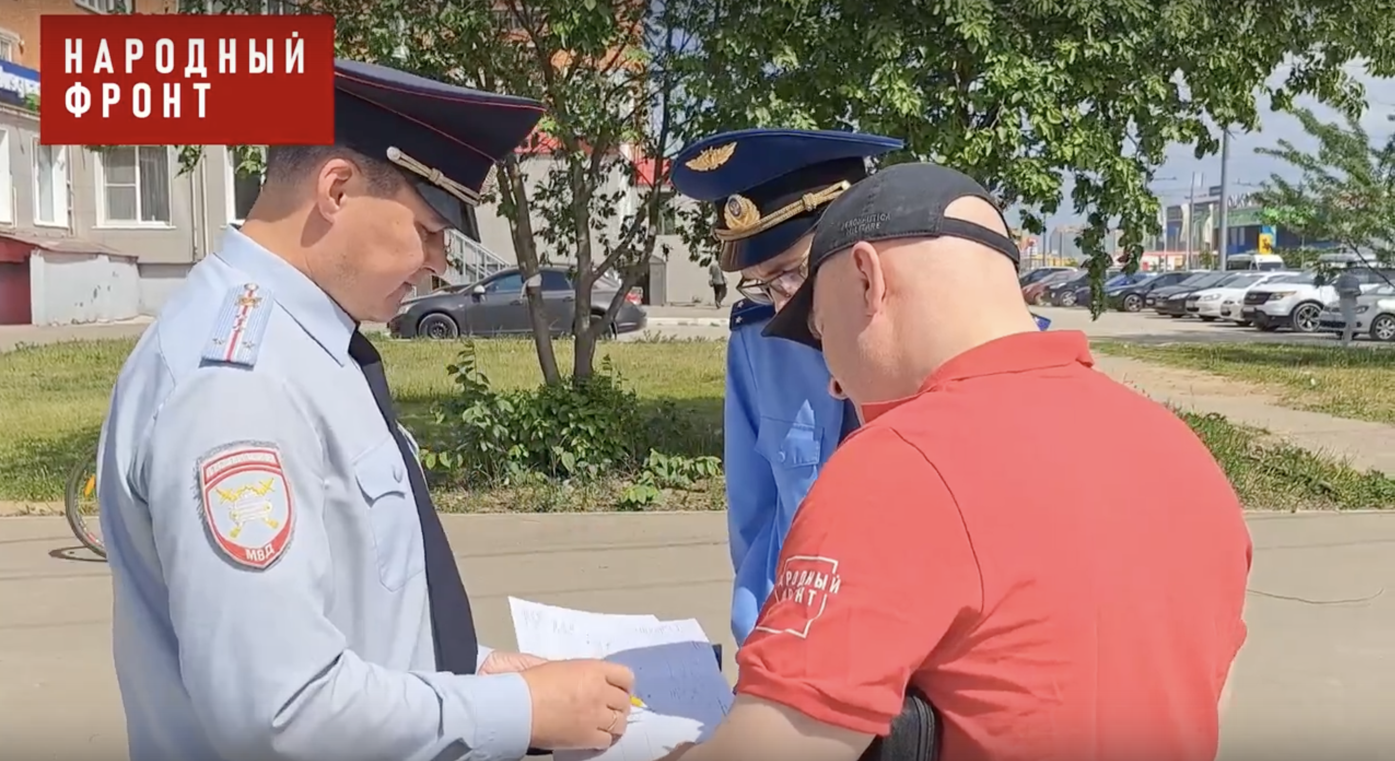 В Йошкар-Оле аварийность на улице Кирова зависит от 3 миллионов карпов в Волге