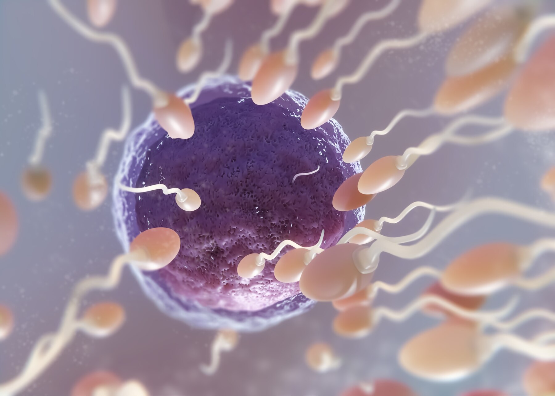 роль спермы в организме фото 59