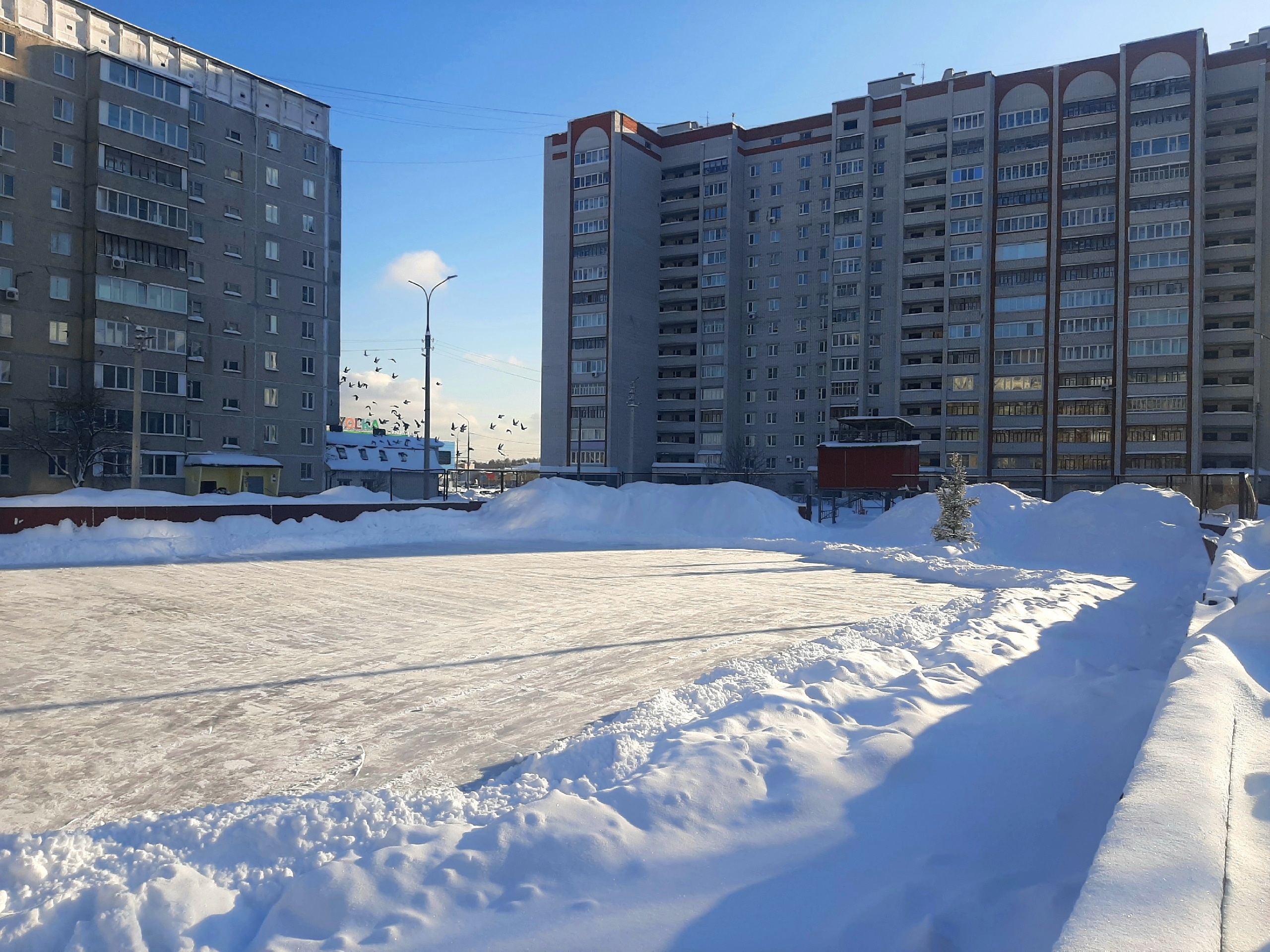 Йошкаролинцы представили объекты, выдвинутые на благоустройство в 2025-м