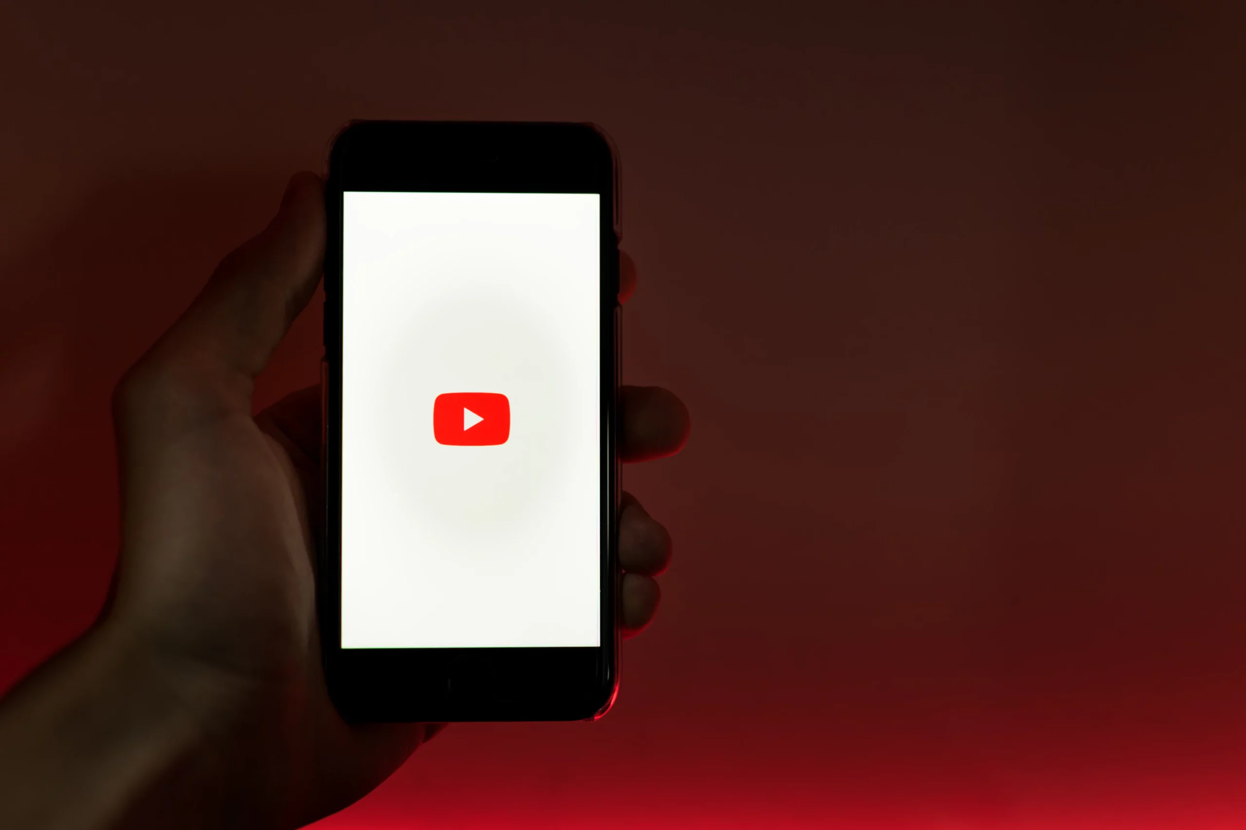 Общественная палата РФ о блокировке YouTube: «закапывает сам себя»