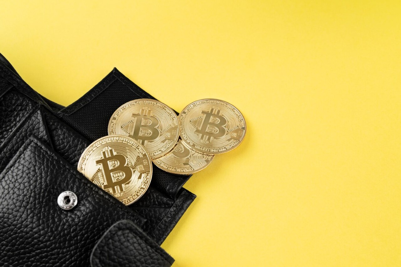 Речь идет о Маске: есть мнение, что он создал Bitcoin, а Намакото не существует